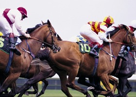 A Century of Country Racing: Gulargambone Gold Cup Returns Saturday, 30 August 2025