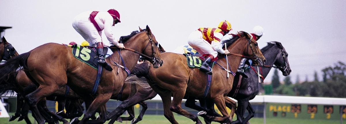 A Century of Country Racing: Gulargambone Gold Cup Returns Saturday, 30 August 2025