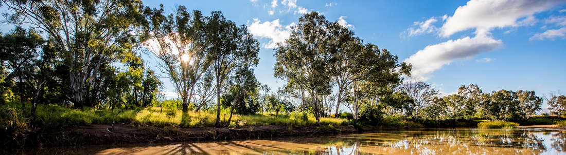 River Bank