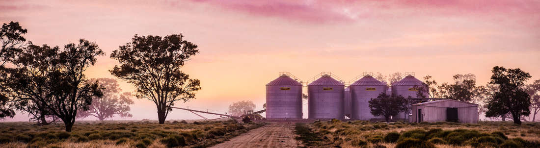 Sunset Farm