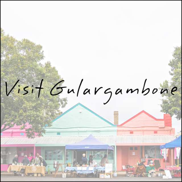 Visiting Gulargambone