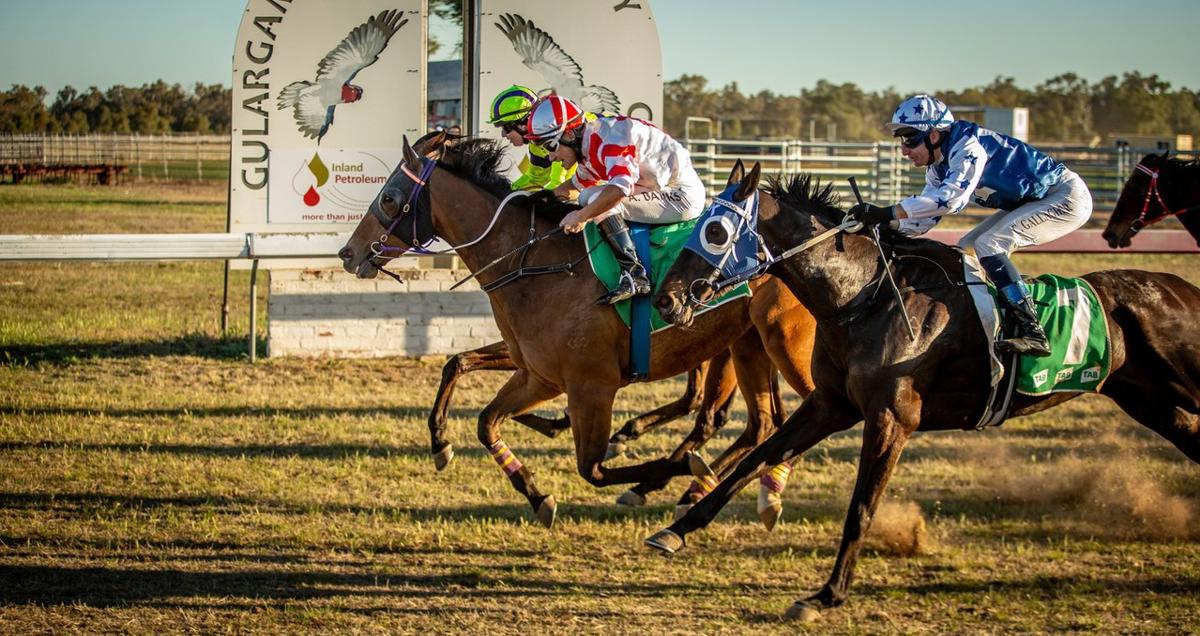 A Century of Country Racing: Gulargambone Gold Cup Returns Saturday, 30 August 2025